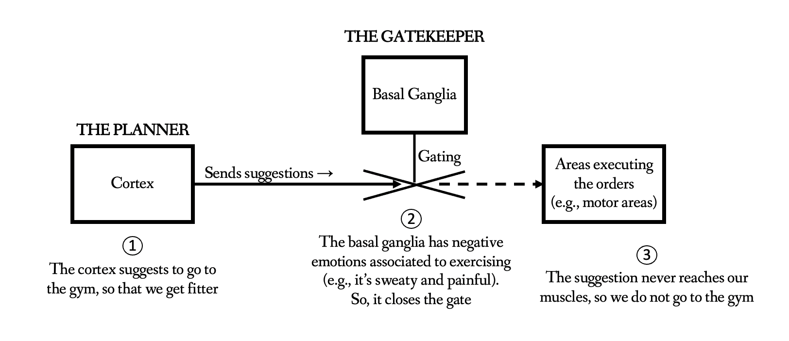 Example of gatekeeper pathway