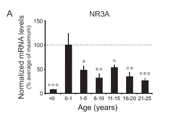 Example of nmda subunits